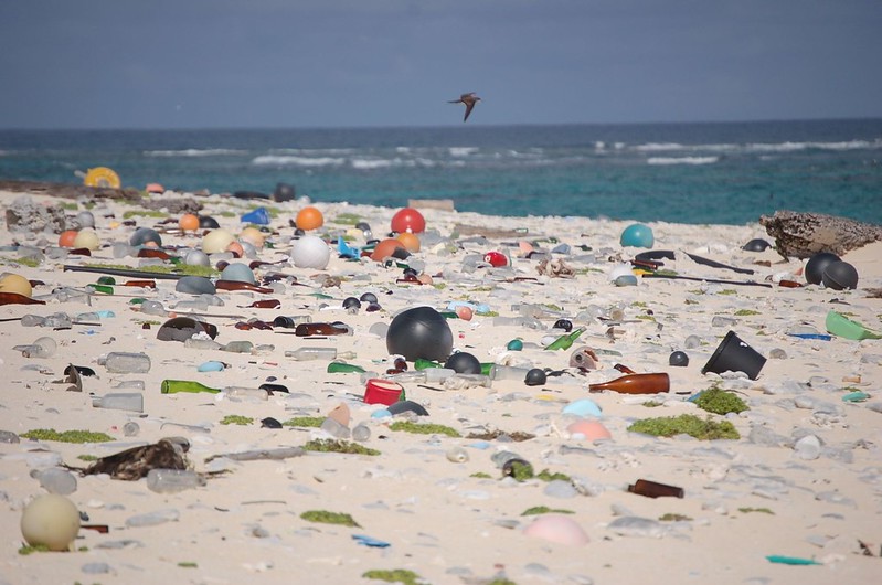 Beach strewn with plastic debris (courtesy of U.S. Fish and Wildlife Service Headquarters CC BY 2.0 via Flickr).