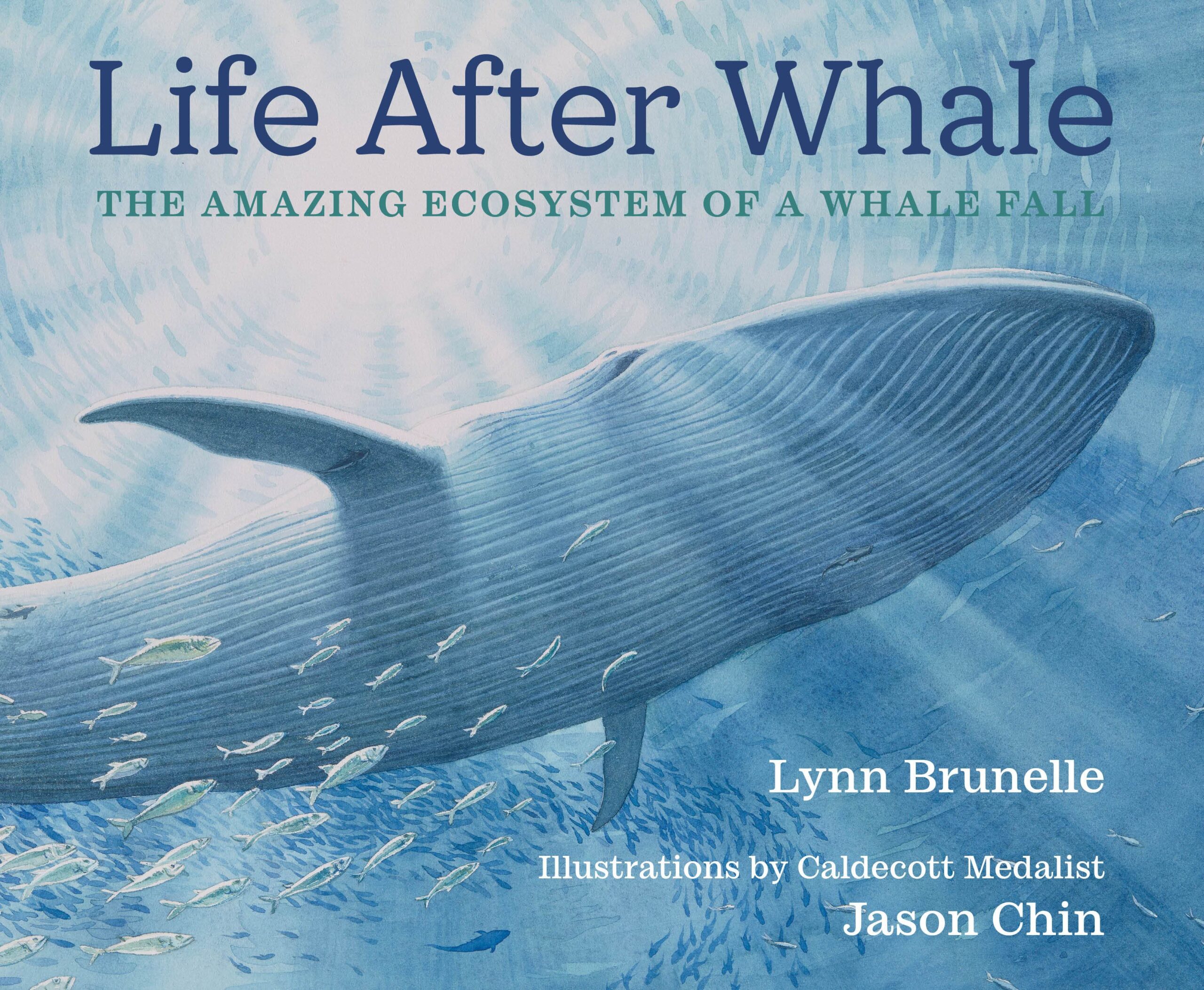 Cover of "Life After Whale: The Amazing Ecosystem of a Whale Fall" (Illustration by By Jason Chin, courtesy of Neal Porter Books via PenguinRandomHouse.com).