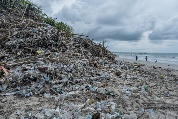 Kuta Beach, one of the most popular beaches in Bali, has turned into a “dumping area” of trash, January 2021 (by Agung Parameswara, Agung Parameswara, CC BY-SA 4.0, via Wikimedia).