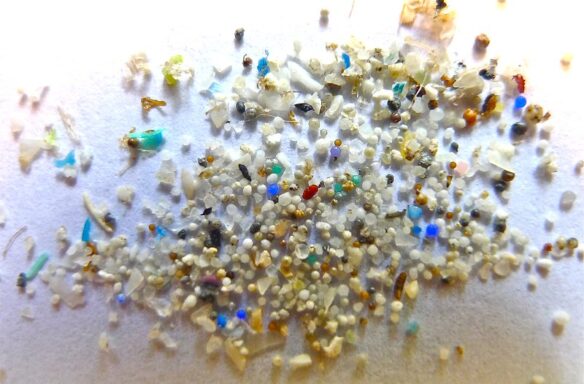 Microplastic (Image by 5Gyres, courtesy of Oregon State University CC BY-SA 2.0 via Flickr).