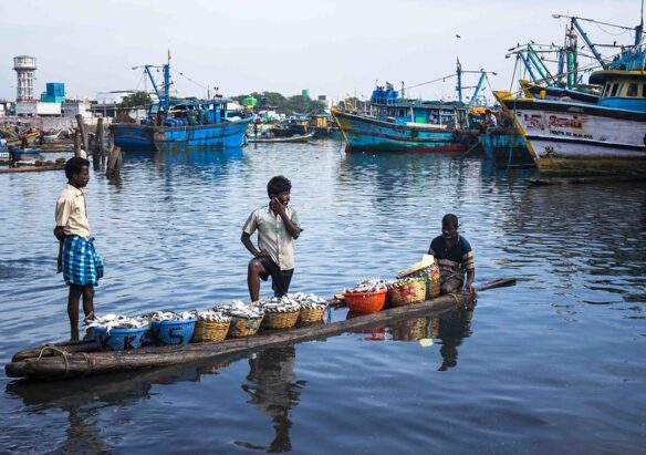 Kasimedu fishing harbour (by Aravindan Genesan CC BY 2.0 via Flickr).