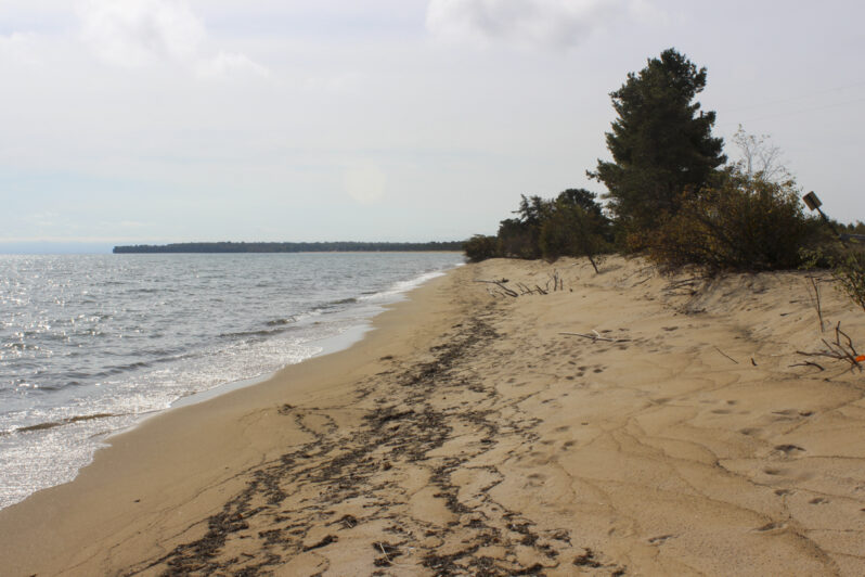 Figure 15. The natural beach extending south of the Traverse River Jetty. Some studies report the original beach in the Gay area as white, but the yellowish to almost golden color seems more typical. The dominant mineral grains are quartz, but most have an iron-oxide coating or stain that gives the yellow to tan color.