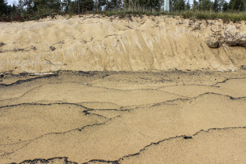 Figure 16. Surface of the natural beach south of the Jetty shows typical beach features such as swash marks, and tiny sand holes. Escaping air and water from beach deposition causes the latter. The distinct swash marks are concentrations of organic matter that was transported landward by each individual wave swash and deposited where the swash dissipated. At the back of the beach, the eroded face of the dune deposit shows evidence of sand-flows down the scarp face.